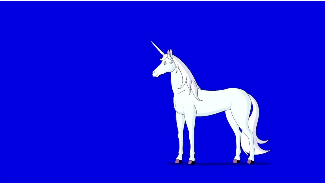 white unicorn with a blue background